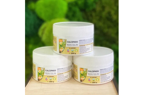 Чем подкормить рассаду