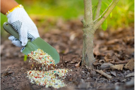 Как реанимировать участок после зимы: пошаговое руководство