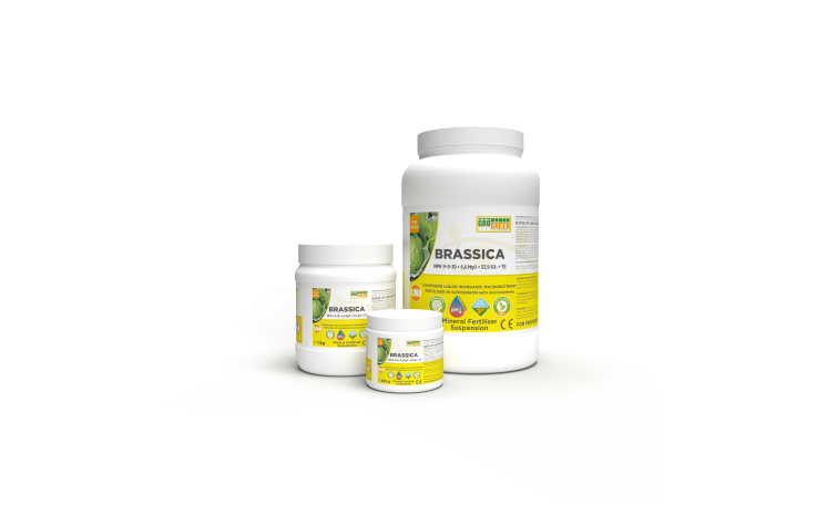 Удобрение Гель Брасика NPK 9-9-39+6,6MgO+53,9SO₃ + TE (Lima)