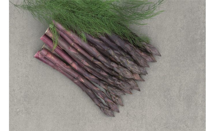 Спаржа "Ерасмус F1" (Bejo)