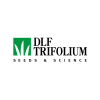 DLF Trifolium
