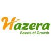 Hazera