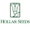 Hollar Seeds