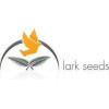 Lark Seeds