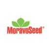 Moravo Seed