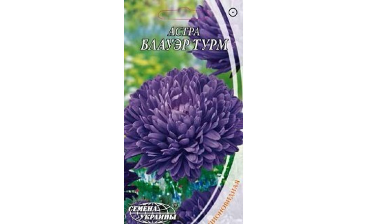 Астра пионовидная  Блауэр турм Семена Украины