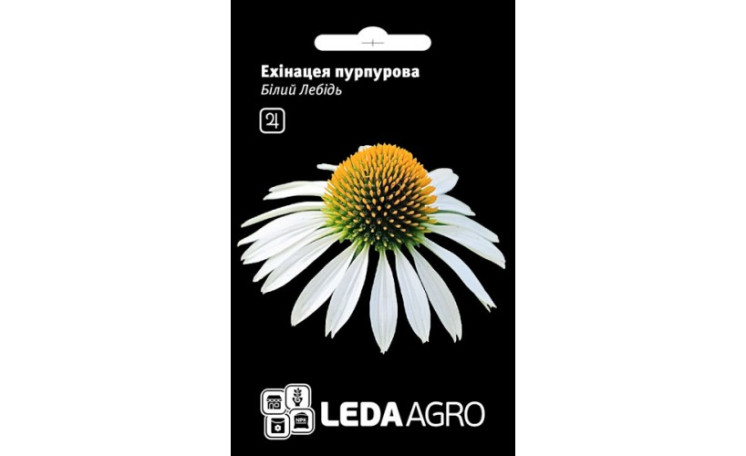 Эхинацея пурпурная Белый лебедь Leda Agro
