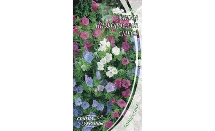 Эхиум низкорослая смесь Семена Украины