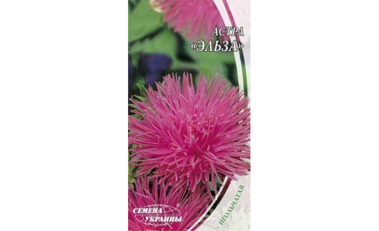 Астра игольчатая Эльза Семена Украины