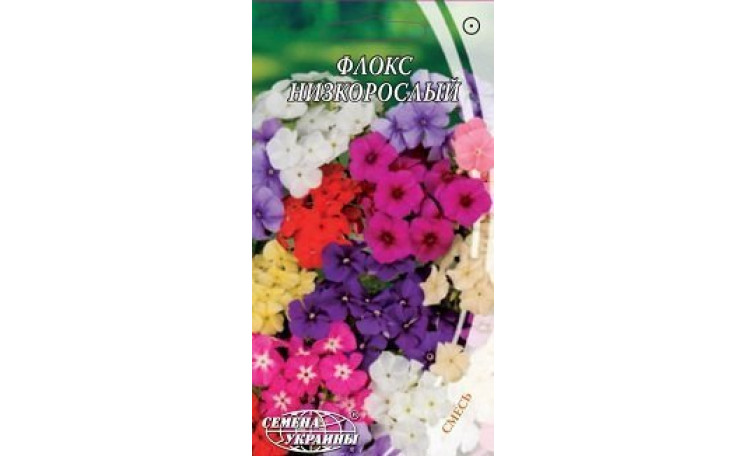 Флокс низкорослый Семена Украины