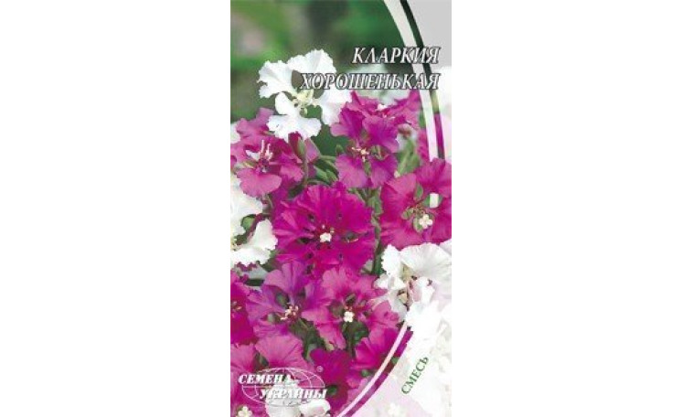 Кларкия хорошенькая Семена Украины