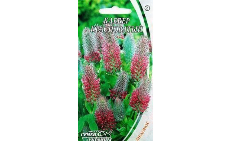 Клевер красноватый Семена Украины