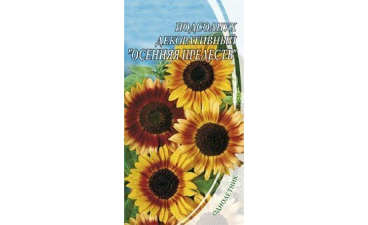 Подсолнух декоративный Осенняя прелесть Семена Украины