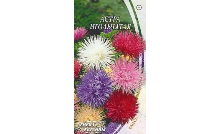 Астра игольчатая смесь Семена Украины