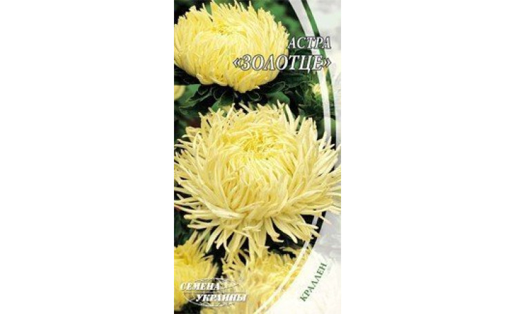 Астра Краллен Золотце Семена Украины