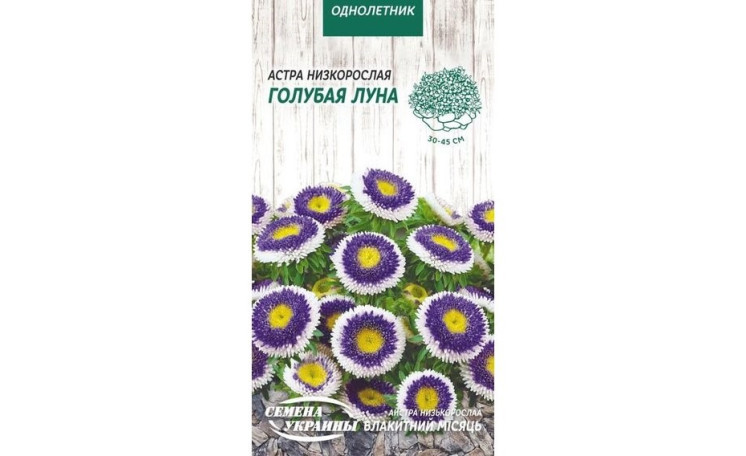 Астра низкорослая Голубой месяц Семена Украины