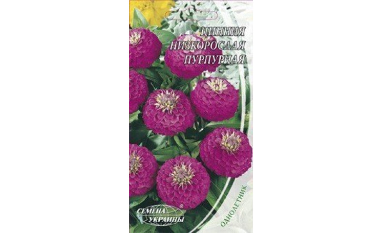 Цинния низкорослая пурпурная (Семена Украины)
