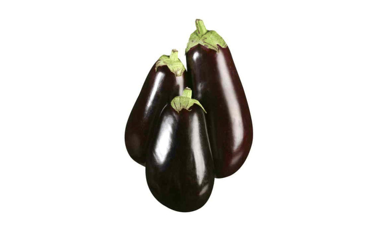 Баклажан "Раунд F1" (Yuksel)