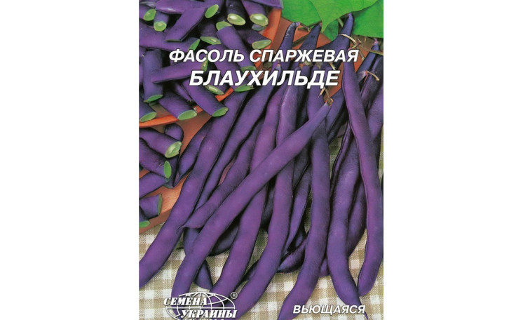Спаржа вьющая Блаухильде (Семена Украины)