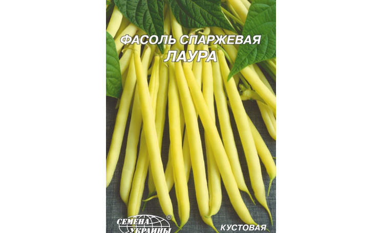 Спаржа кустовая Лаура (Семена Украины)