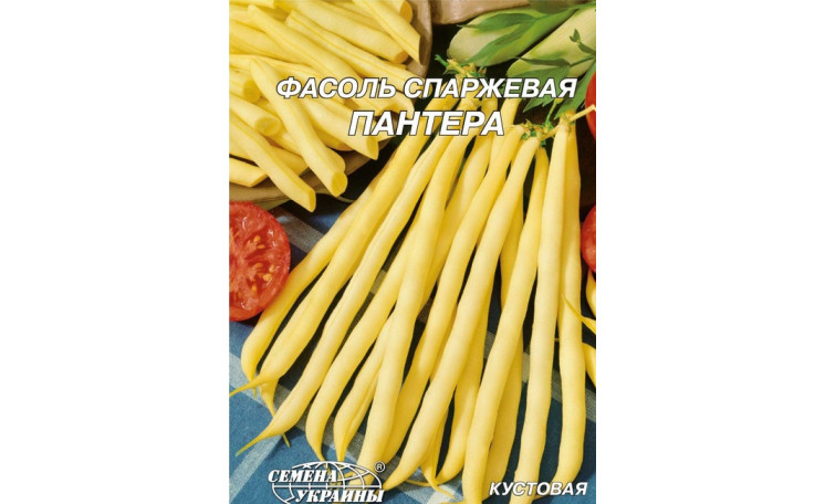 Спаржа Пантера (Семена Украины)