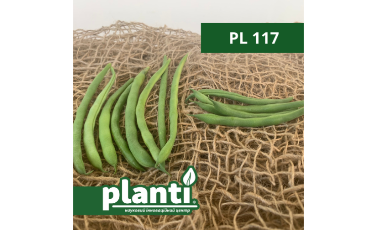 Фасоль "PL 117" (Bakker Brothers)