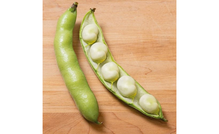 Бобы Врома (Leda Seeds)