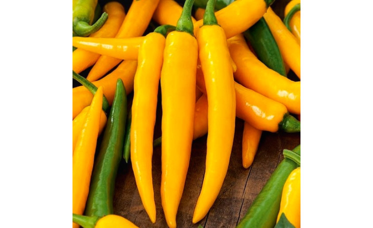 Перец острый Харвей (Moravo seeds)