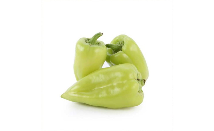 Перец "Кантатта F1" (Enza Zaden)