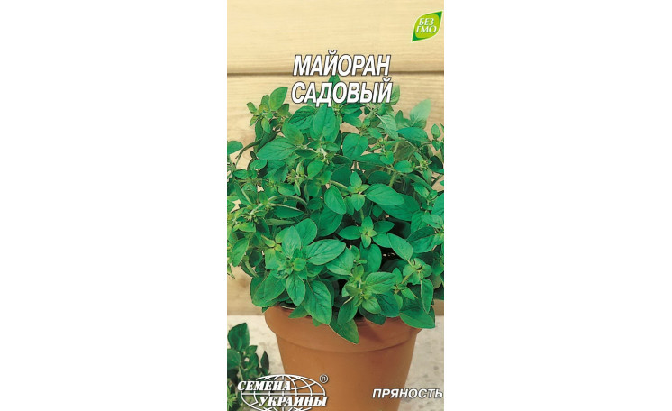 Майоран садовый (Семена Украины)