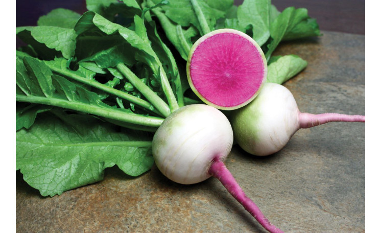 Дайкон Мисато Роуз Флэш (Sakata)