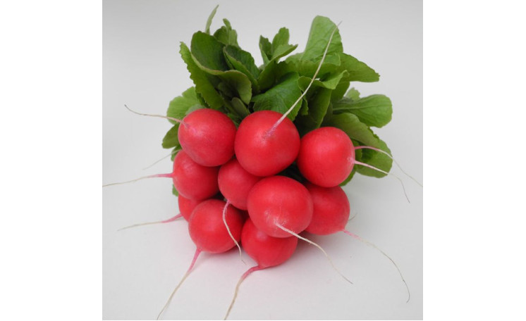 Редис Солярис F1 (Leda Agro)