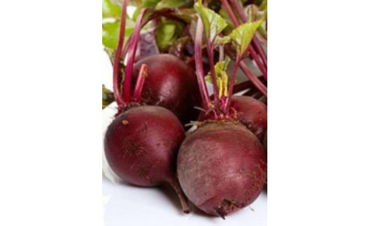 Свекла Боливар (Leda Agro)