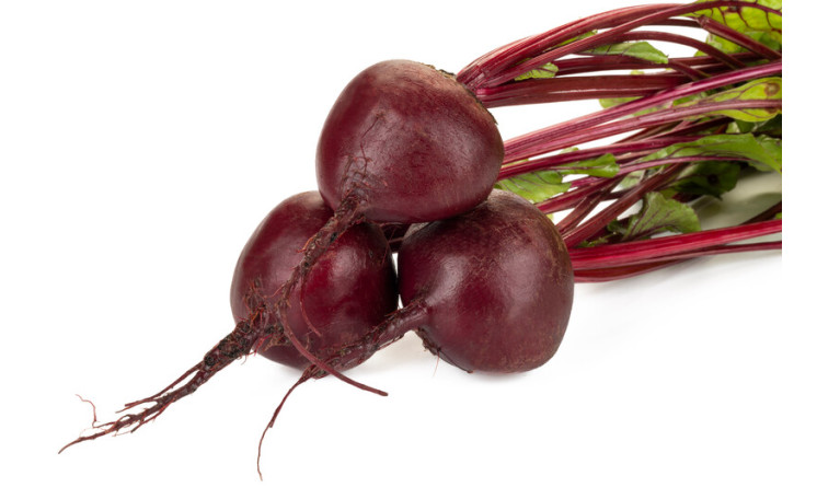 Родити F1 Roditi F1 Свекла столовая Rijk Zwaan (Голландия)