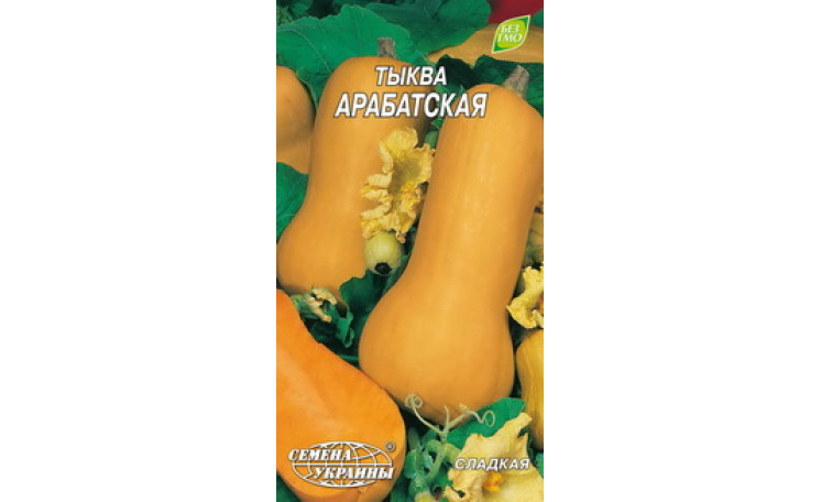 Тыква "Арабатская" (Семена Украины)