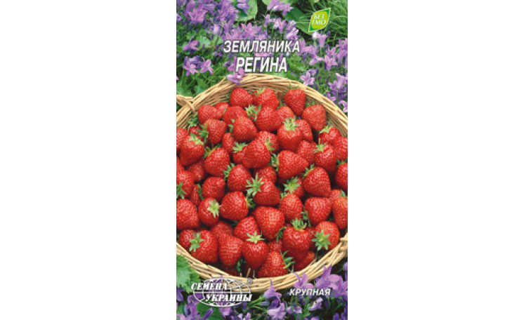Земляника Регина (Семена Украины)