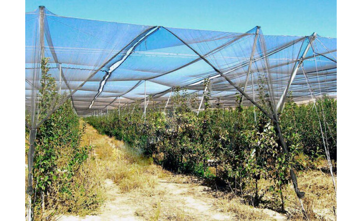 Сетка для защиты от птиц зеленая 15х17 (AGREEN)