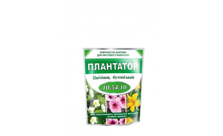 "Плантатор 10.54.10" (цветение) (Киссон)