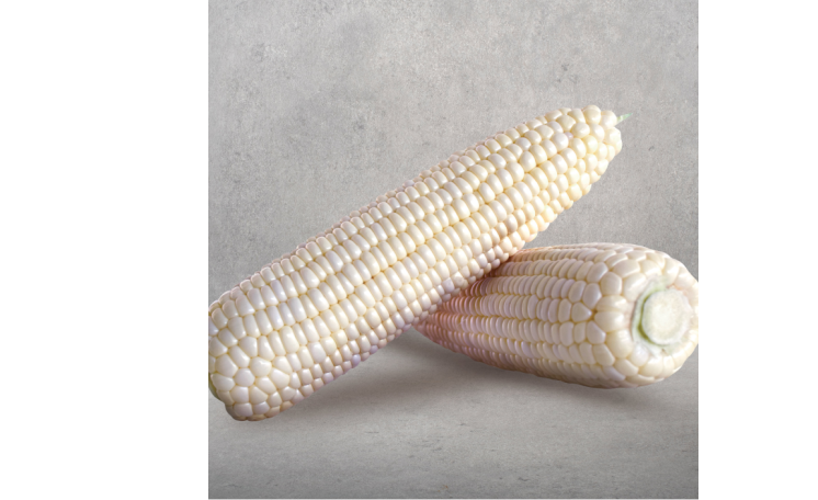 Кукуруза "Моуссе F1" (May Seed)