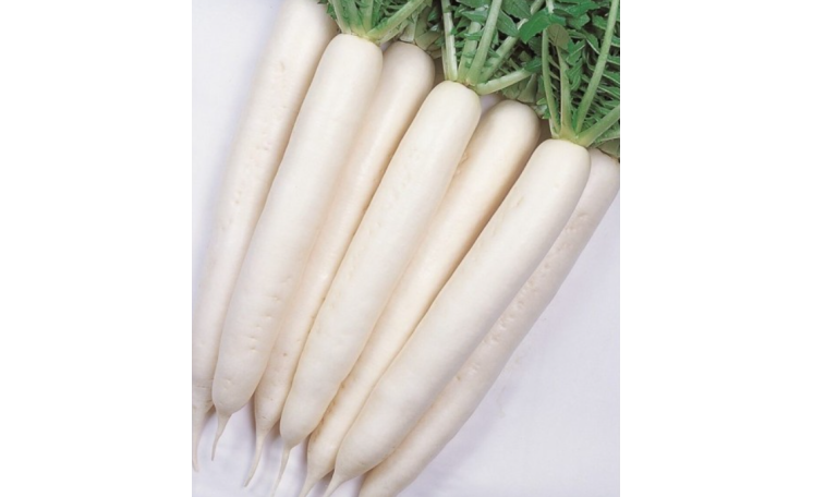 Дайкон Мино Саммер Крос F1 (Sakata)