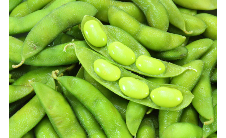 Бобы эдамаме Дейм Джунко F1 (Sakata)