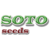 SOTO SEEDS