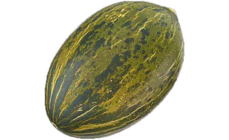 Дыня Алмаден F1 (Enza Zaden)