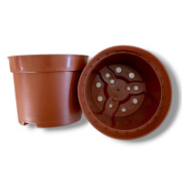 Стаканы для рассады