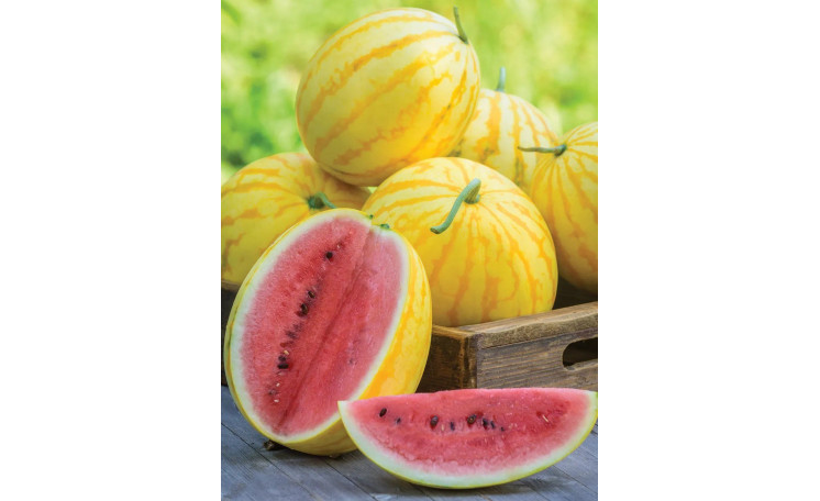 Арбуз Ред ин Голд F1 (Red in Gold) (Asia Seed)