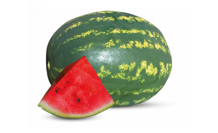 Арбуз ES 75127 F1 (Ergon seed)